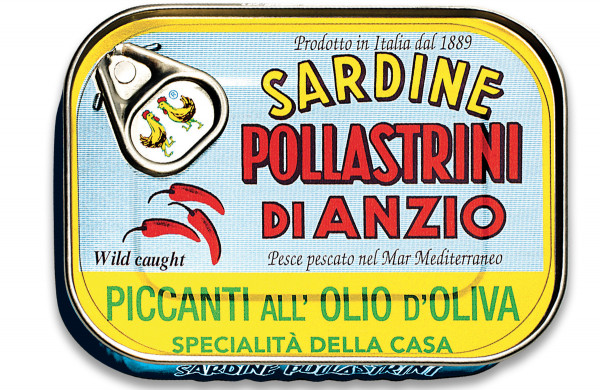 Pollastrini Gewürzte Sardinen in Olivenöl
